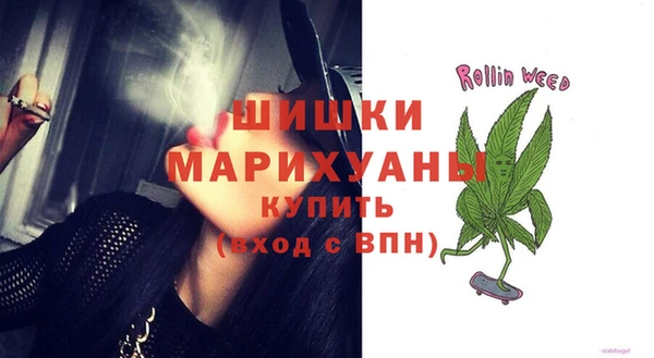PSILOCYBIN Переславль-Залесский