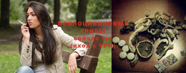 PSILOCYBIN Переславль-Залесский