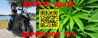 прущие грибы Ирбит