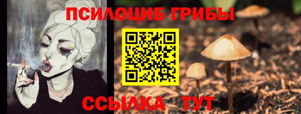 Галлюциногенные грибы Cubensis  Вход с VPN  Галлюциногенные грибы Cubensis  Россошь 