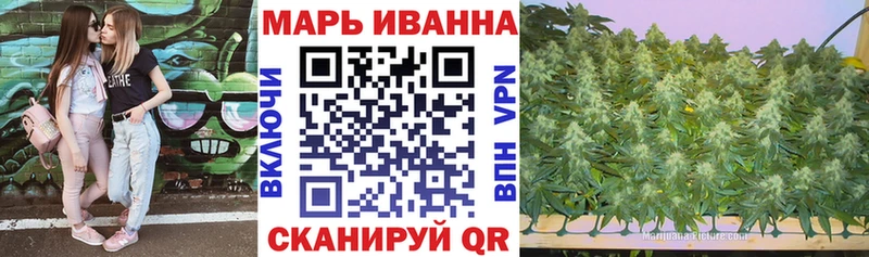 Конопля планчик  Россошь 